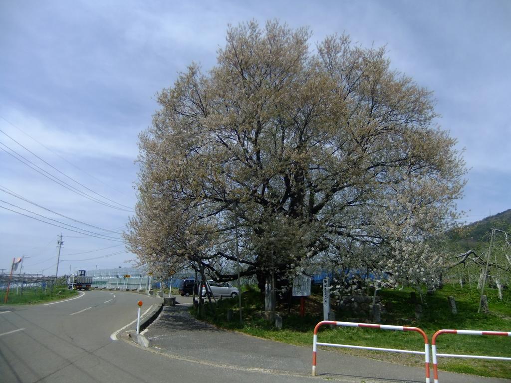 Shiga Park Hotel Yamanouchi  Esterno foto